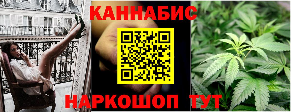 Канабис OG Kush Рославль